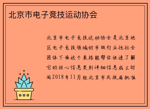 北京市电子竞技运动协会